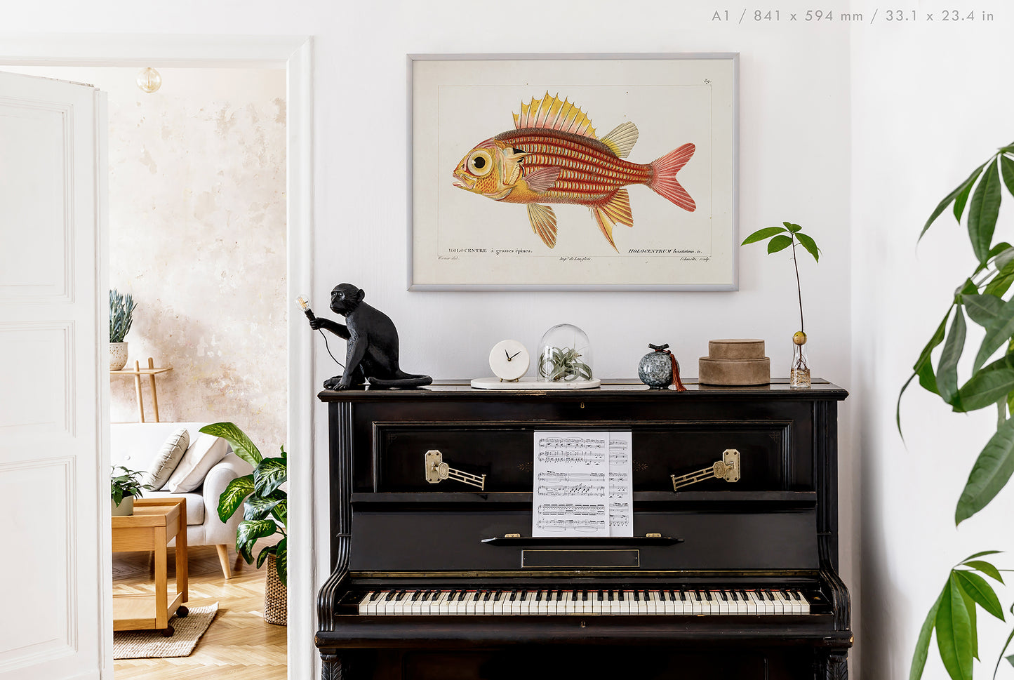 Preview of the art print Red Soldierfish Illustration, mounted in an A1 size frame