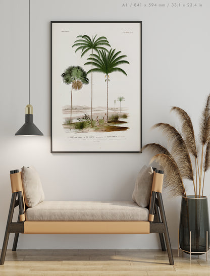 Preview of the art print Açaí Palm Illustration, mounted in an A1 size frame