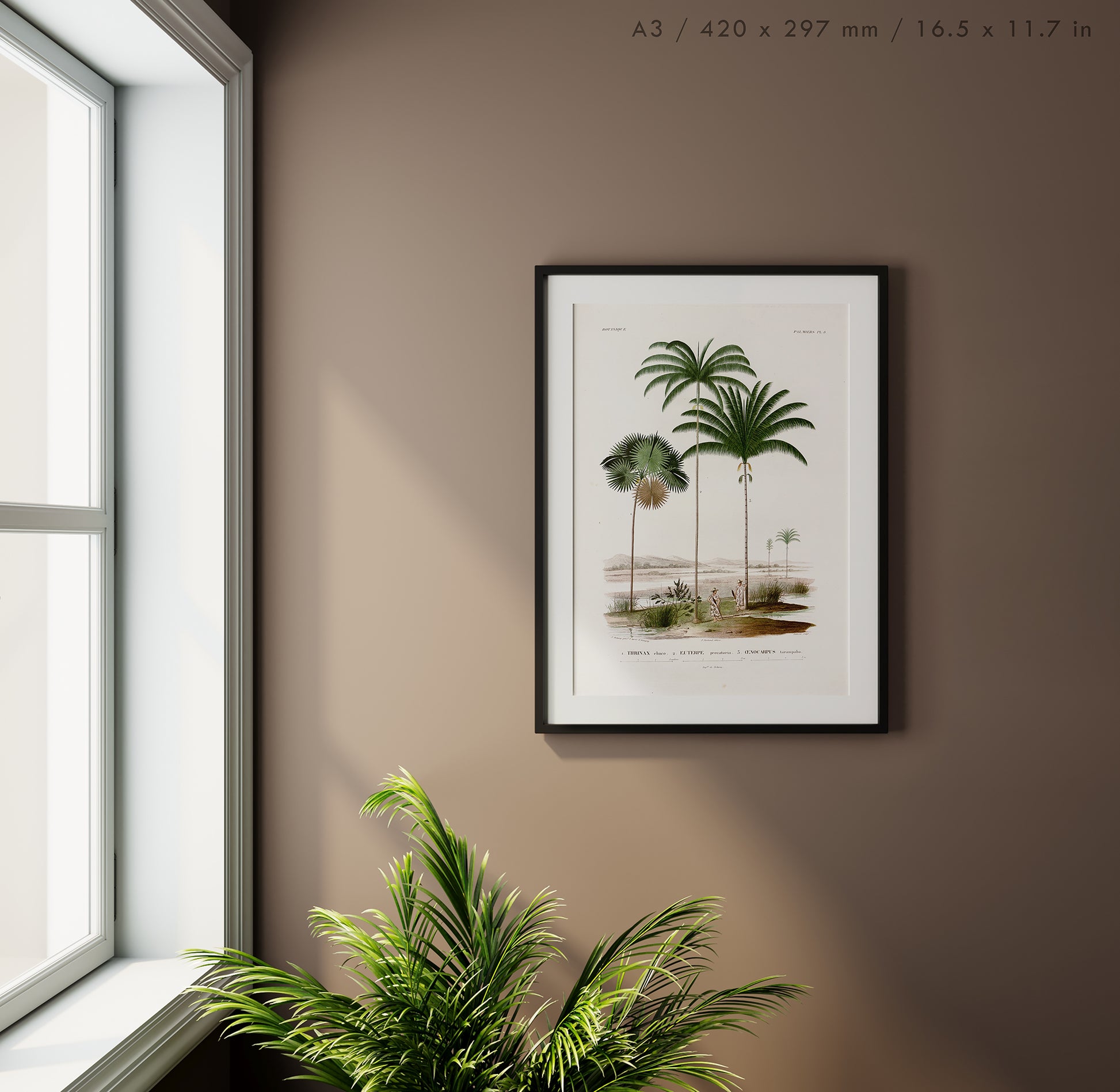 Preview of the art print Açaí Palm Illustration, mounted in an A3 size frame