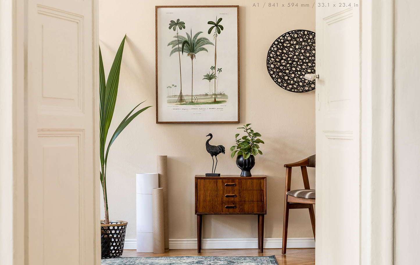 Preview of the art print Attalea Palm Illustration, mounted in an A1 size frame