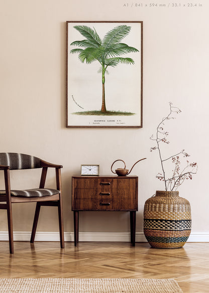 Preview of the art print Bangalow Palm by Louis van Houtte, mounted in an A1 size frame