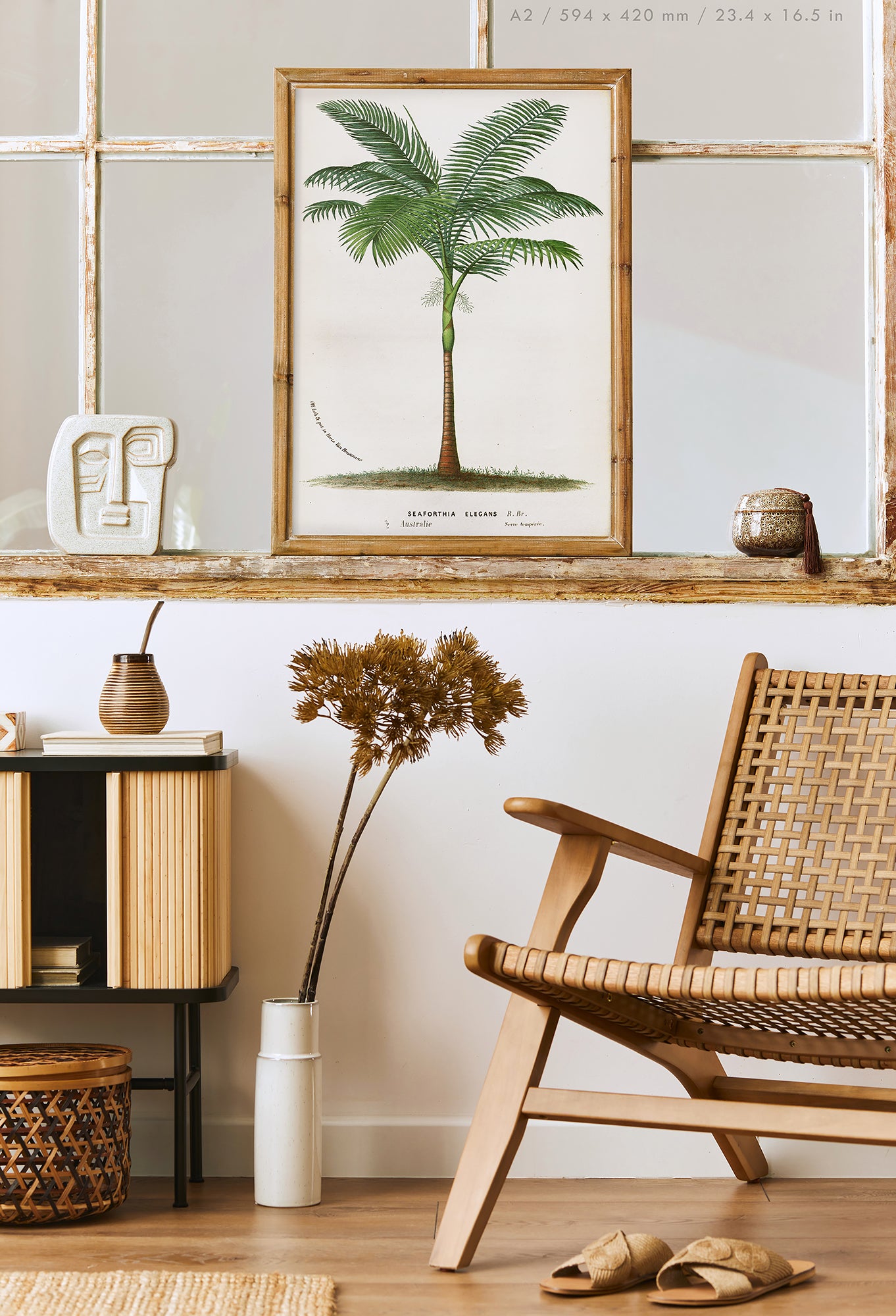 Preview of the art print Bangalow Palm by Louis van Houtte, mounted in an A2 size frame