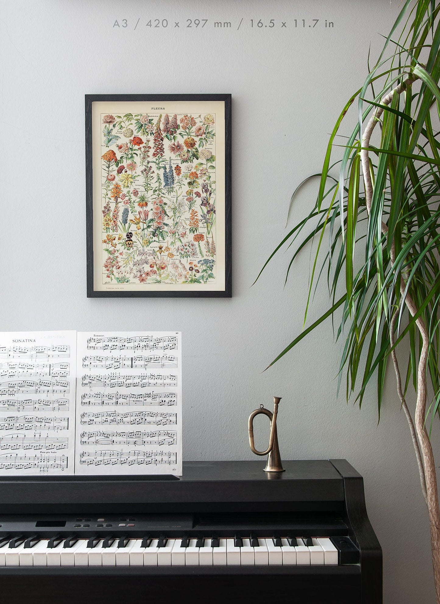 Preview of the art print Flowers Chart by Adolphe Millot, mounted in an A3 size frame