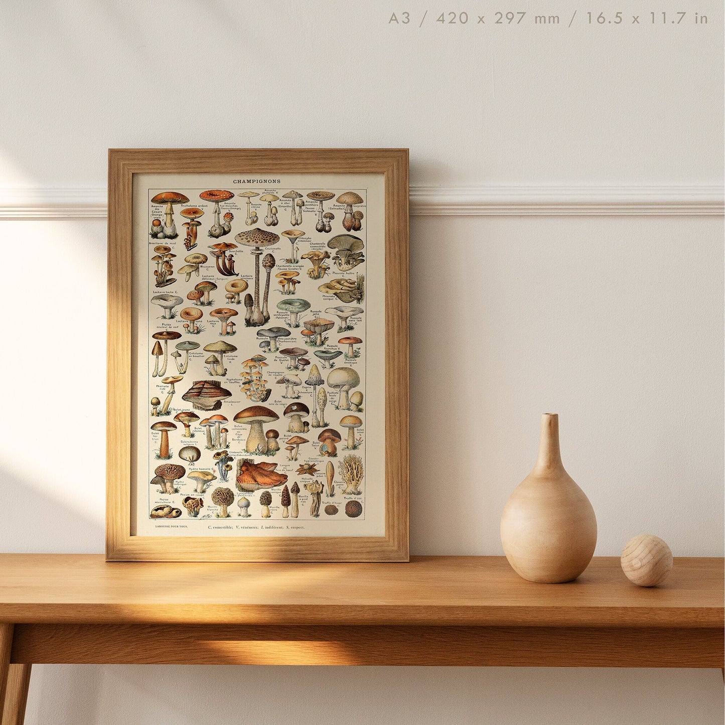 Preview of the Mushroom Chart Poster by Adolphe Millot, mounted in an A3 size frame