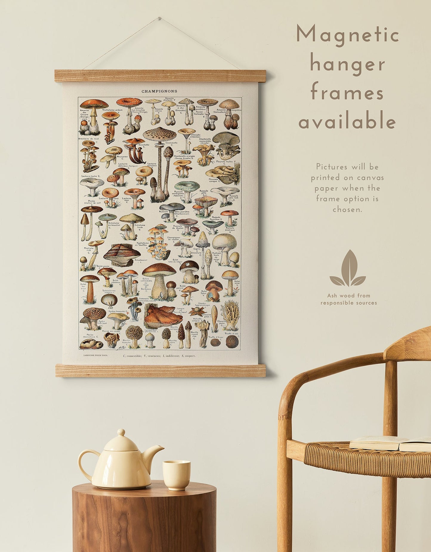 Preview of the Mushroom Chart Poster by Adolphe Millot, mounted in a magnetic hanger frame