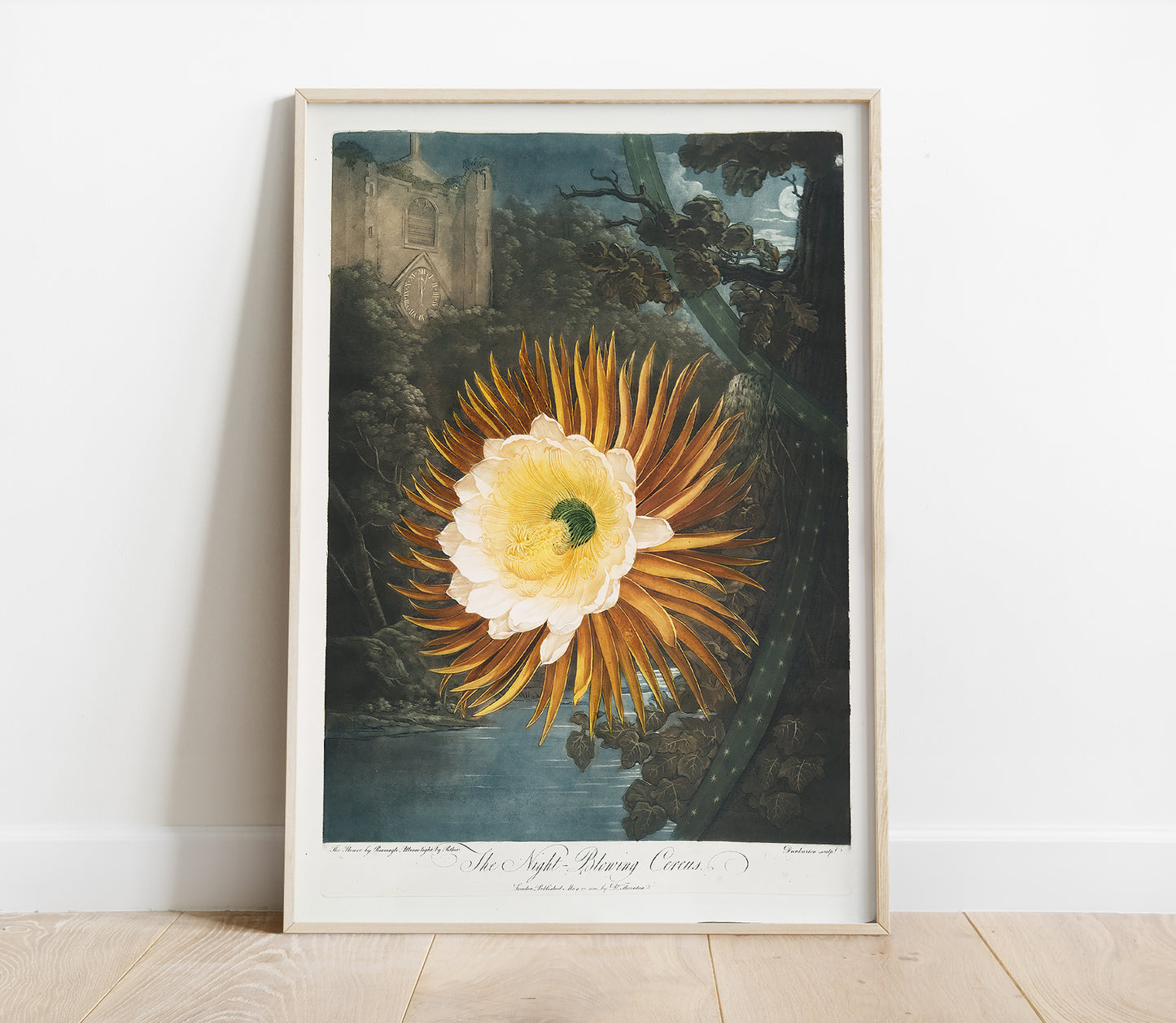 Preview of the art print The Night Blowing Cereus by Robert John Thornton, mounted in a poster frame