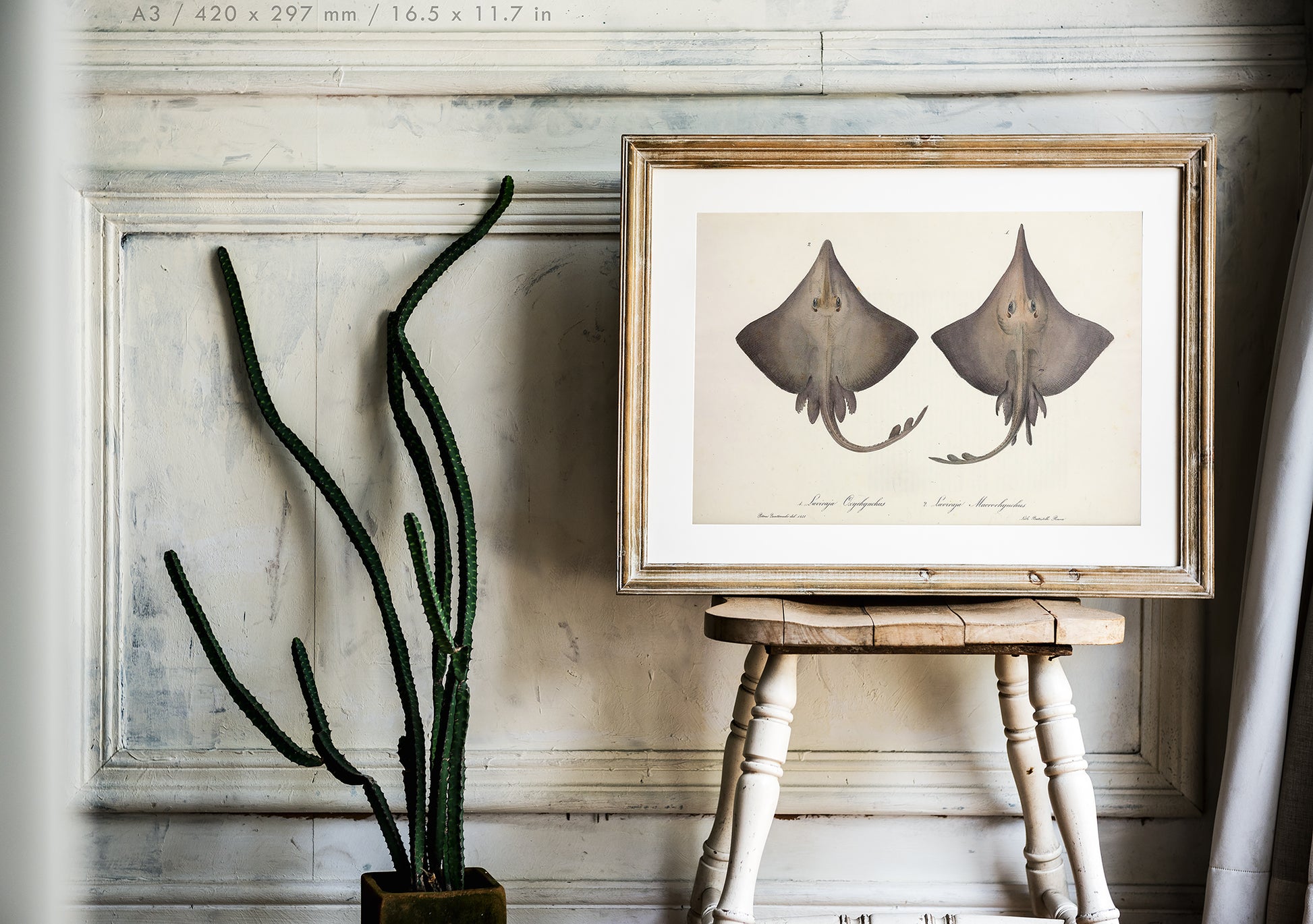 Preview of the art print Ocean Rays Illustration, mounted in an A3 size frame