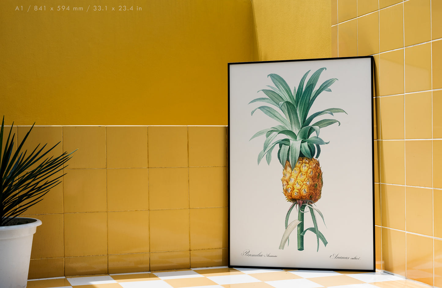 Preview of the art print Pineapple by Pierre Joseph Redouté, mounted in an A1 size frame