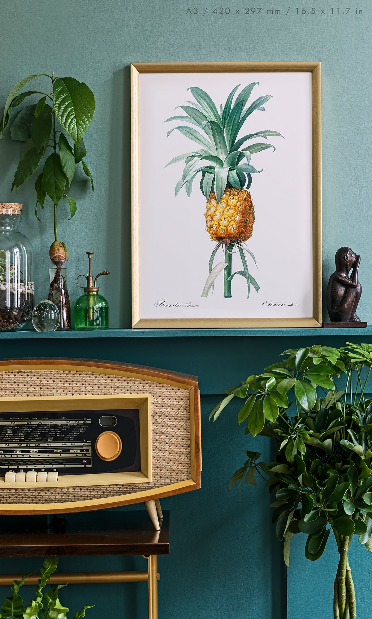 Preview of the art print Pineapple by Pierre Joseph Redouté, mounted in an A3 size frame