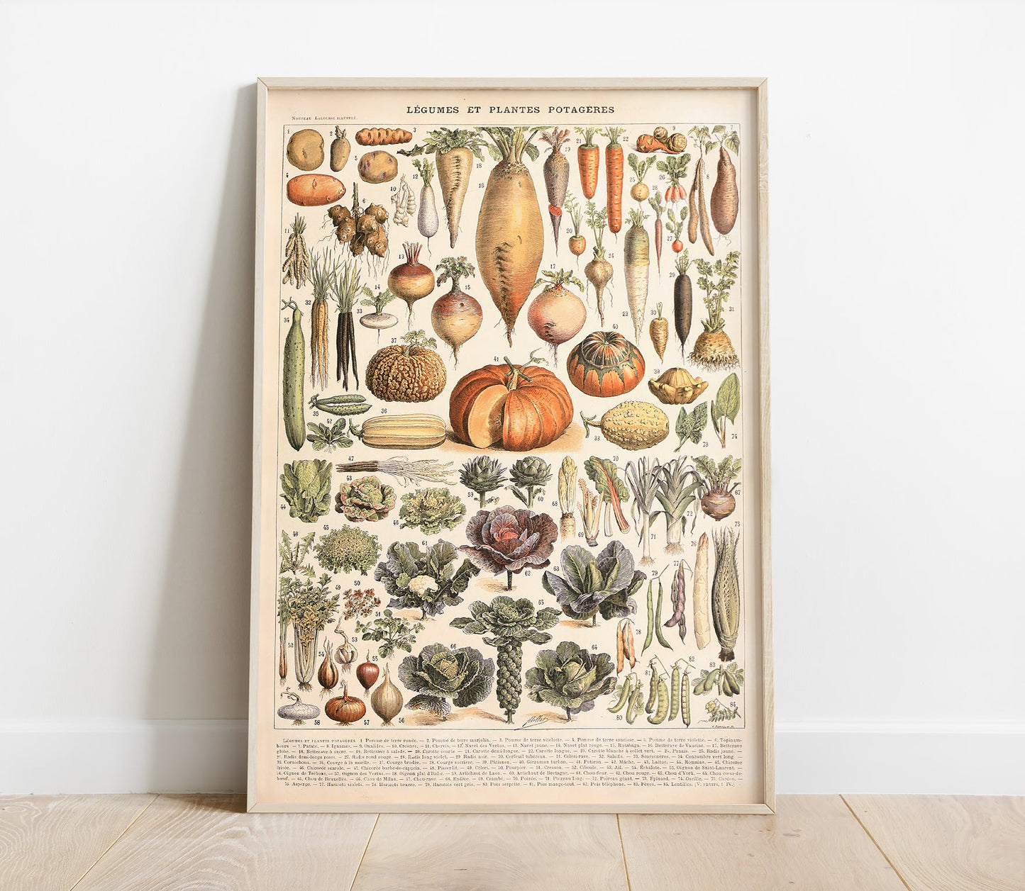 Preview of the Vegetables Chart by Adolphe Millot, mounted in a poster frame