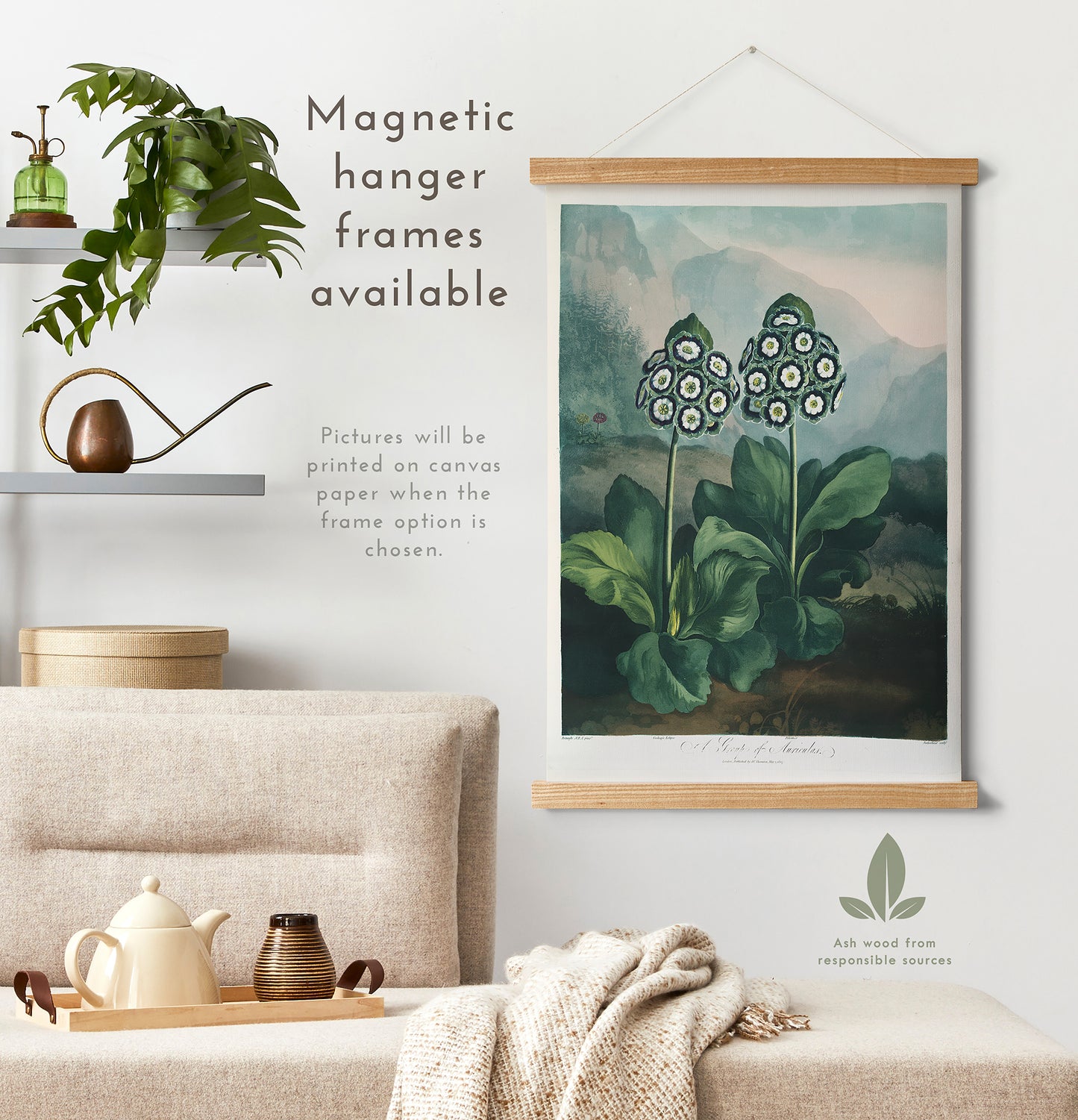 Preview of the art print Auriculas by Robert John Thornton, mounted in a magnetic hanger frame