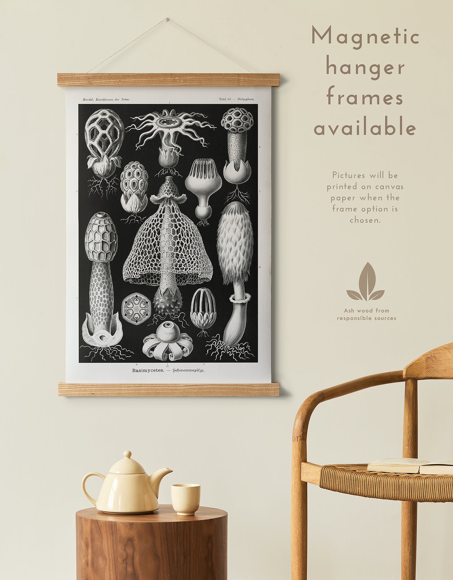 Preview of the art print Basimycetes by Ernst Haeckel, mounted in a magnetic hanger frame