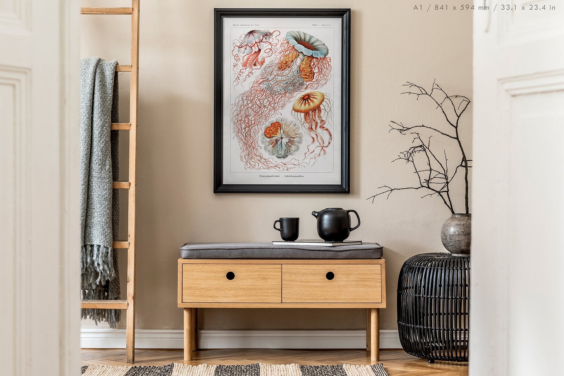 Preview of the art print Discomedusae by Ernst Haeckel, mounted in an A1 size frame