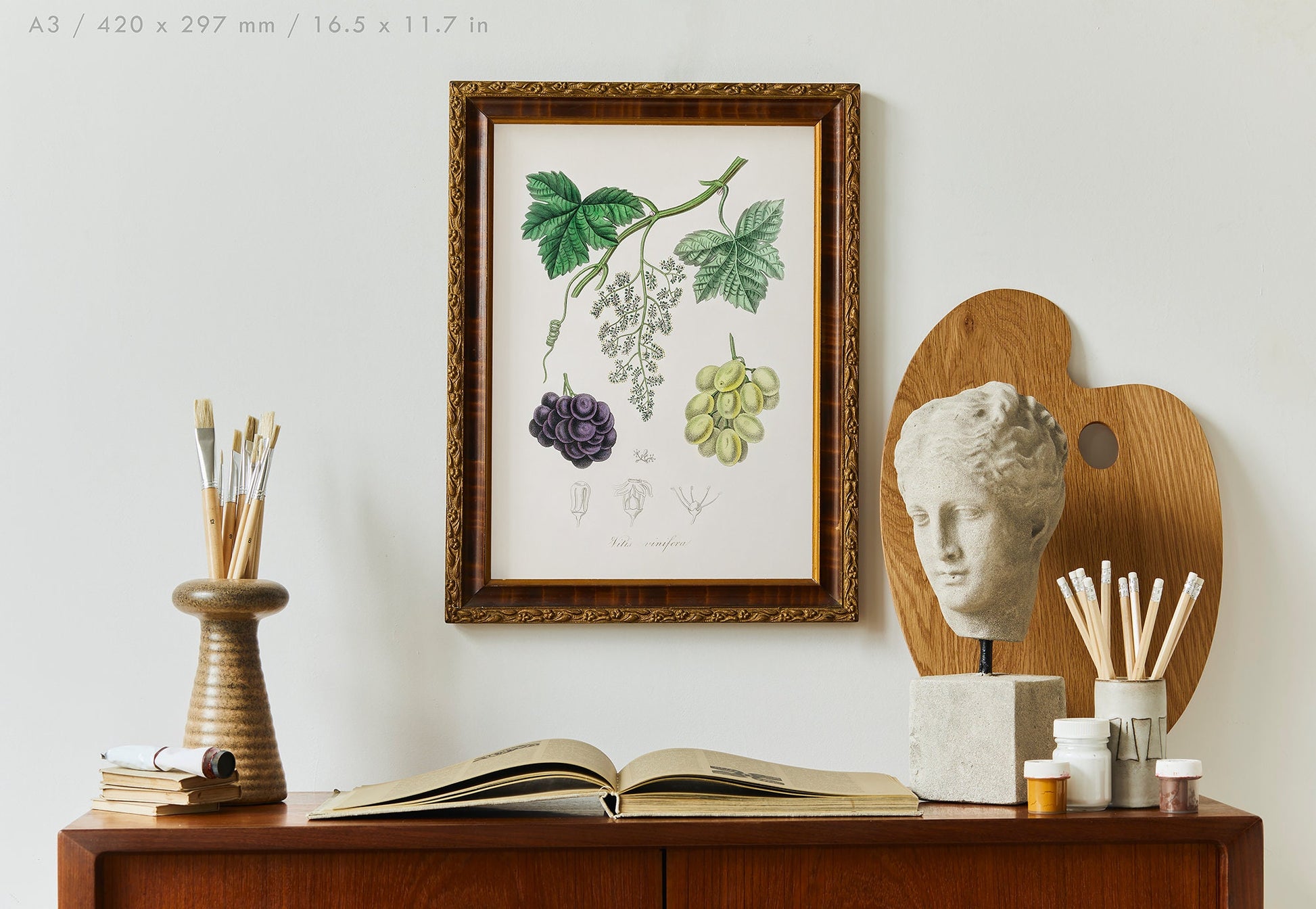 Preview of the art print Grape Vine by John Stephenson and James Morss Churchill, mounted in an A3 size frame