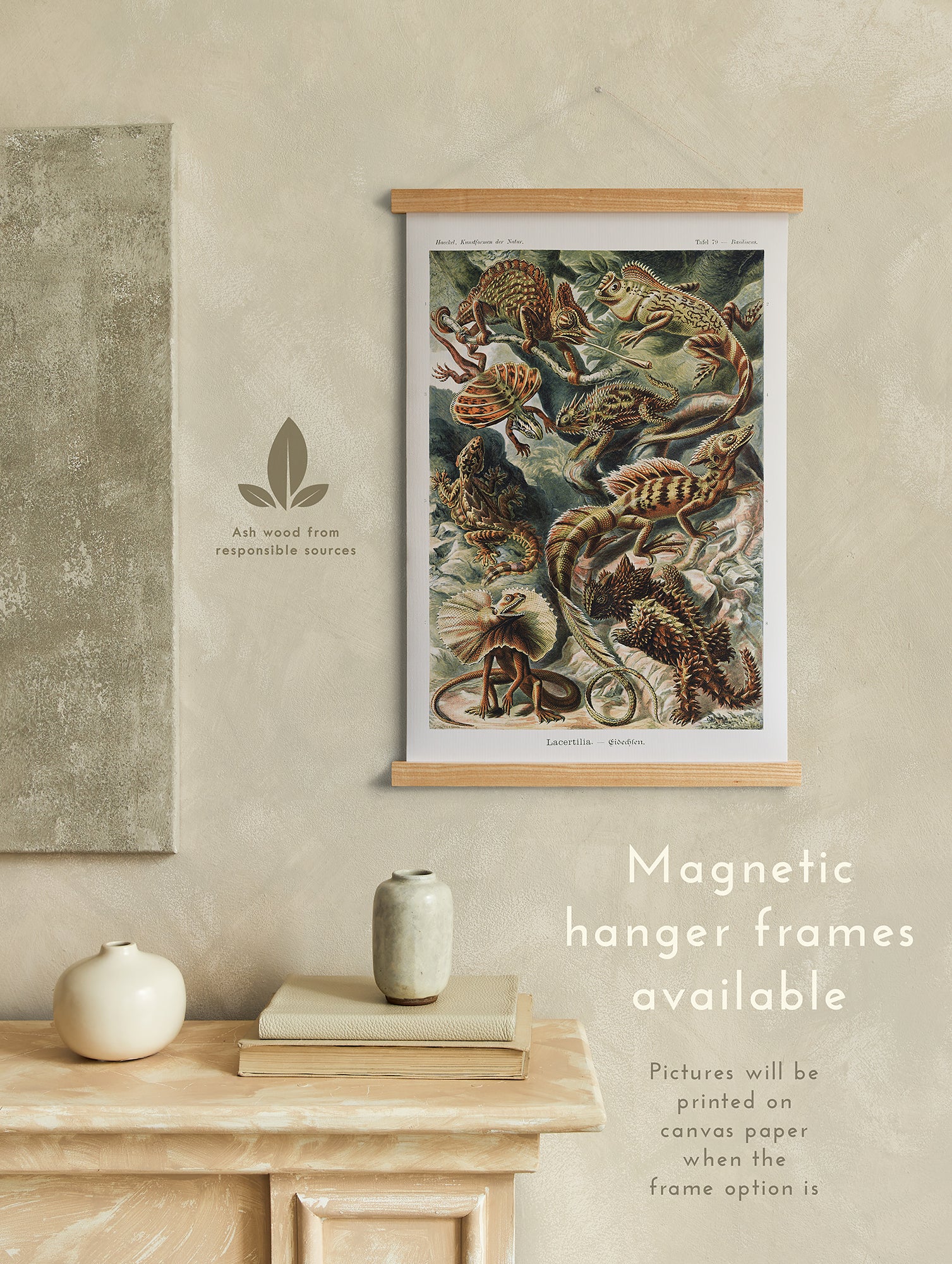 Preview of the art print Lacertilia by Ernst Haeckel, mounted in a magnetic hanger frame