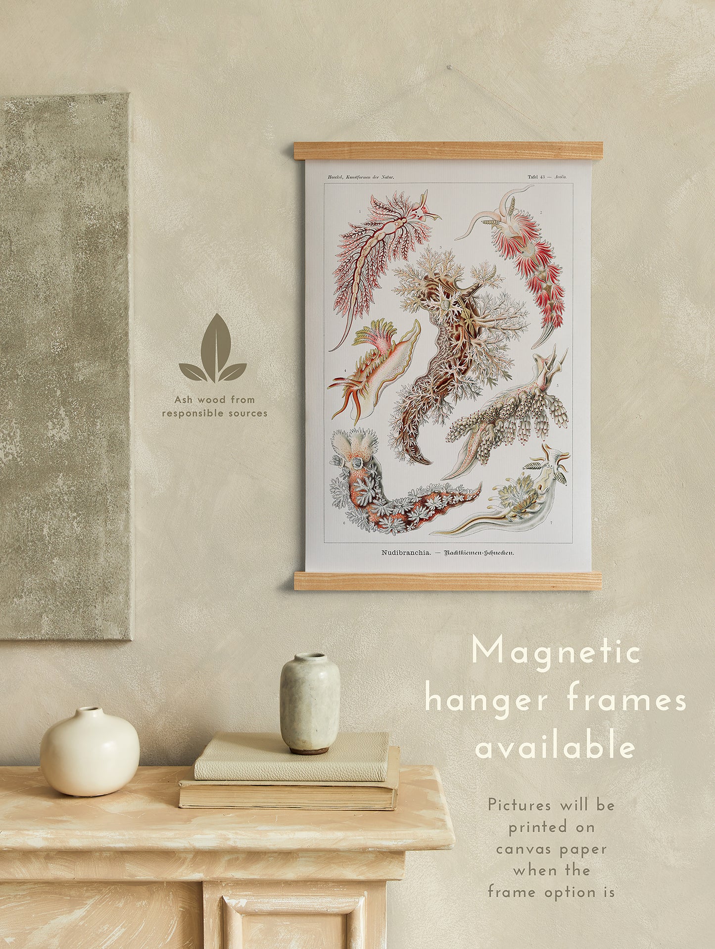 Preview of the art print Nudibranchia by Ernst Haeckel, mounted in a magnetic hanger frame