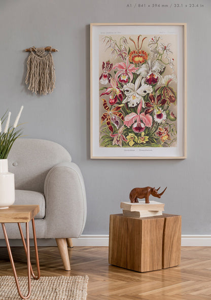 Preview of the art print Orchidae by Ernst Haeckel, mounted in an A1 size frame