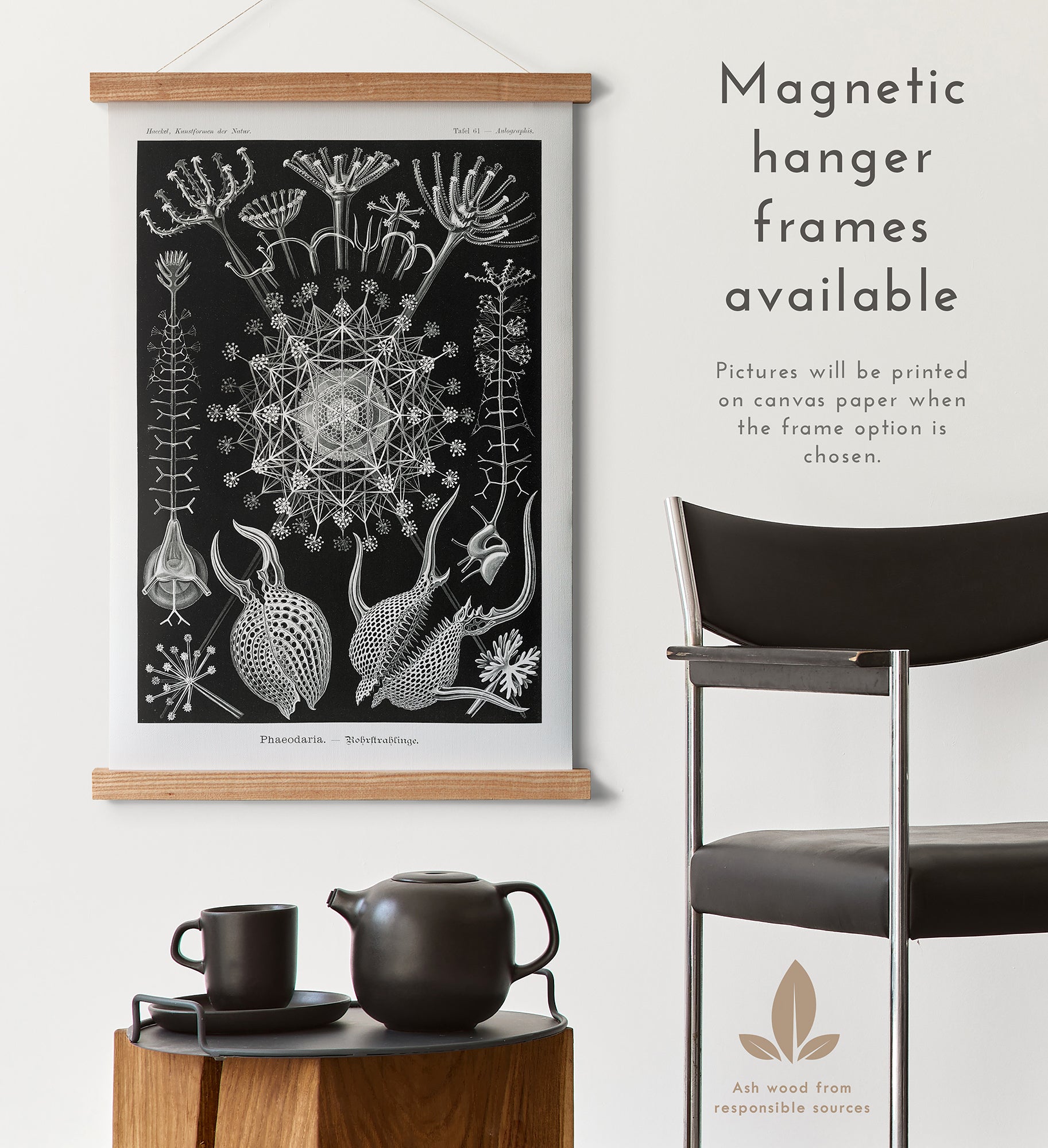 Preview of the art print Phaeodaria by Ernst Haeckel, mounted in a magnetic hanger frame